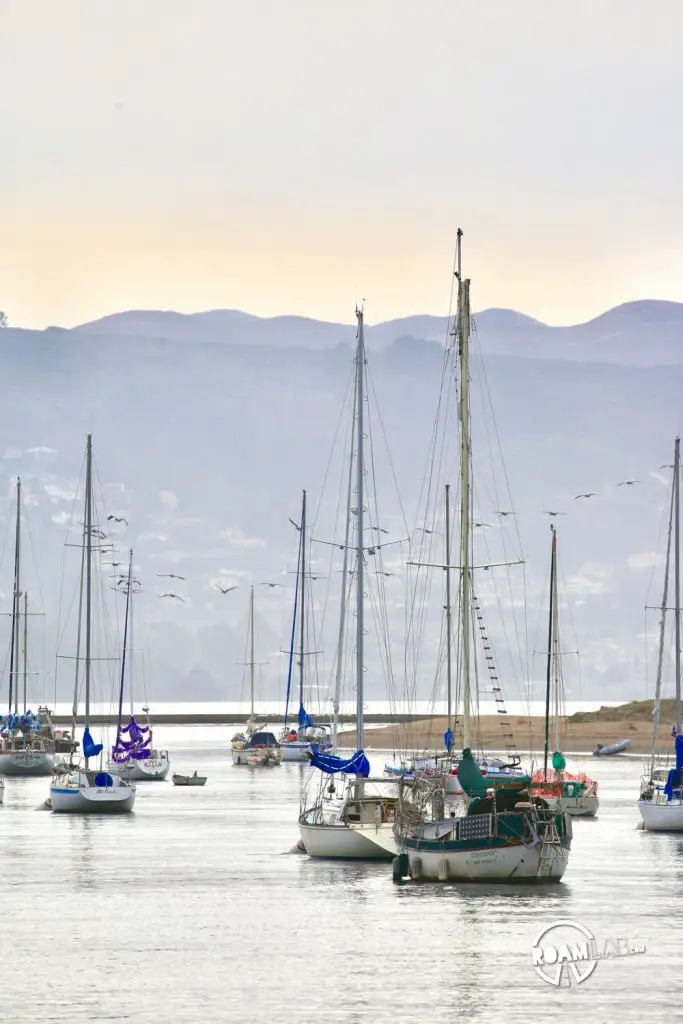 Sail boats in Morro Bay, California