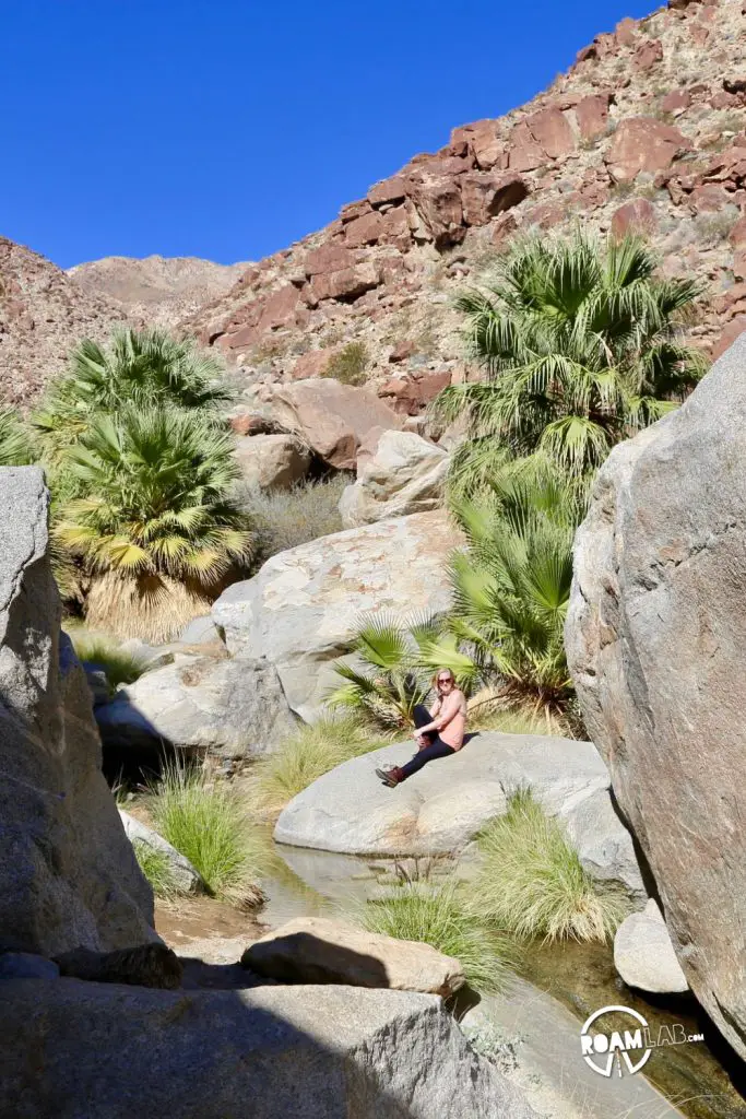 Taking a break along Borrego Palm Canyon Trail in Anza-Borrego Desert State Park