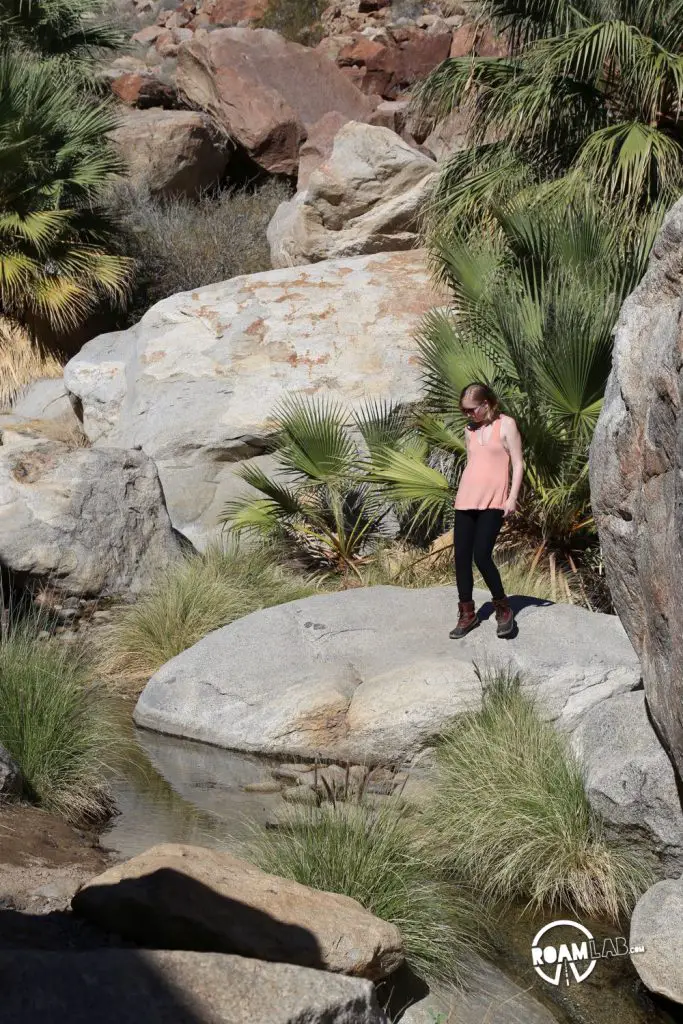 The illusive water along Borrego Palm Canyon Trail in Anza-Borrego Desert State Park