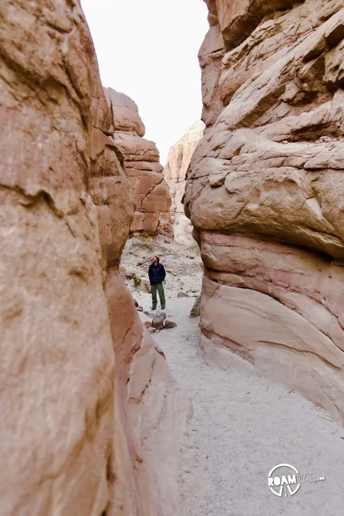 Exploring the Palm Slot Canyon in Anza-Borrego Desert State Park