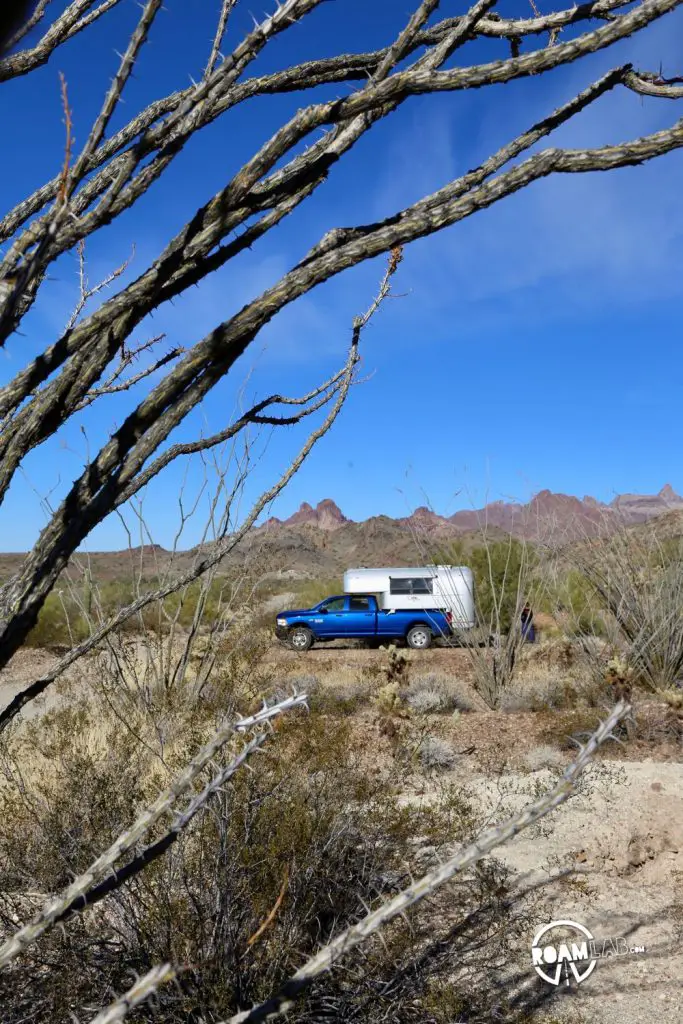 Pausing for breakfast in Kofa National Wildlife Refuge, Arizona