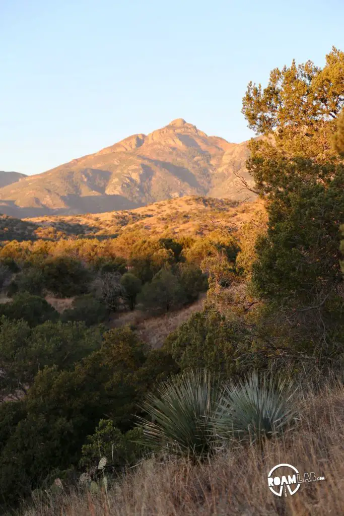 Sunrise in Coronado National Forest, Arizona