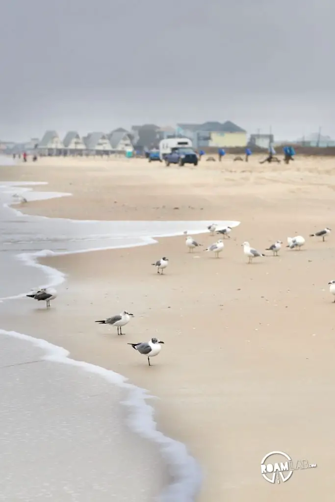  Surfside Beach, Texas