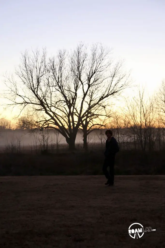 Cowboy inspects a tree at dusk.