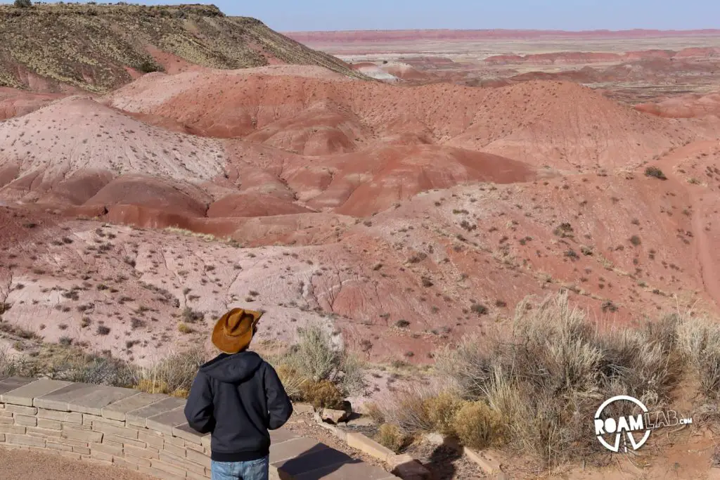 Painted Desert, Petroglyphs, And An Ancient Rainforest In Petrified Forest National Park
