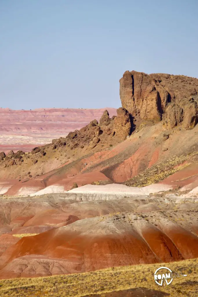Painted Landscapes, Petroglyphs, And An Ancient Rainforest In Petrified Forest National Park