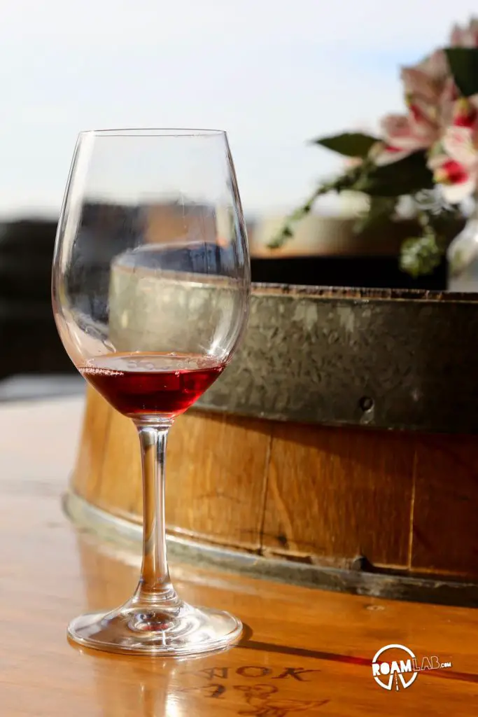 Wine Tasting In Amador County, California
