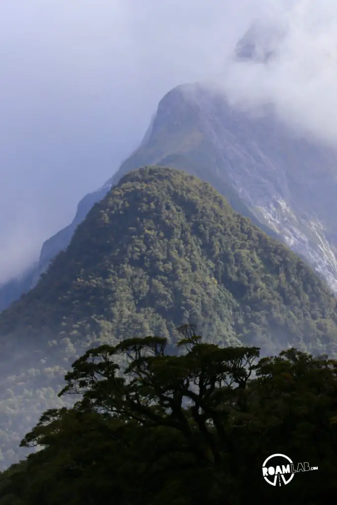 Discovering disappearing waterfalls, fur seals, black choral, alpine parrots, and mirror lakes, while hiking Milford Sound, New Zealand.