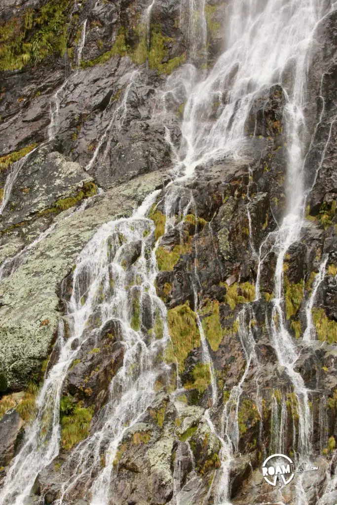 Discovering disappearing waterfalls, fur seals, black choral, alpine parrots, and mirror lakes, while hiking Milford Sound, New Zealand.