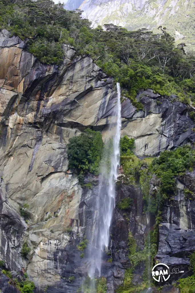Discovering disappearing waterfalls, fur seals, black choral, alpine parrots, and mirror lakes, while hiking Milford Sound, New Zealand.