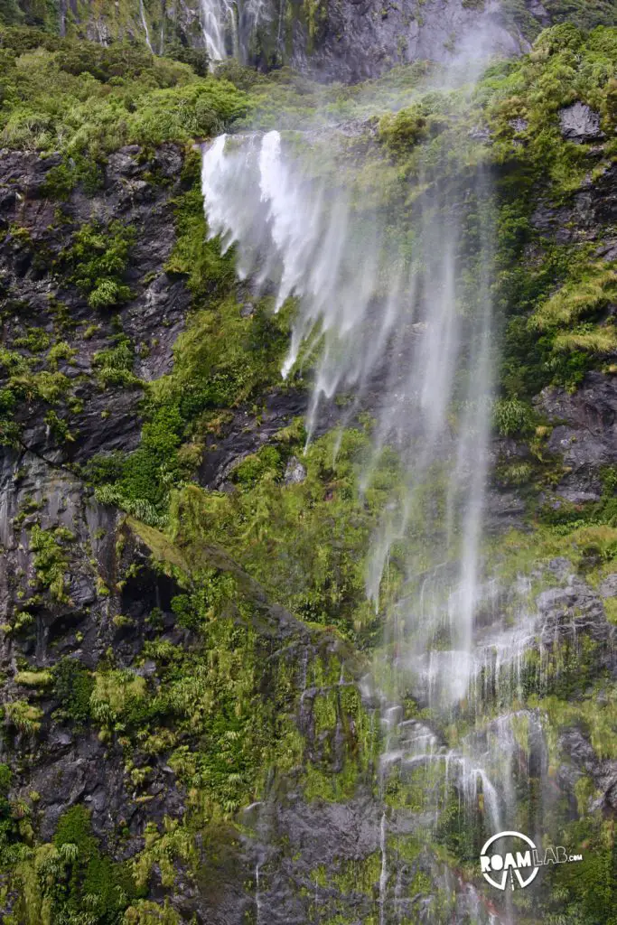 Discovering disappearing waterfalls, fur seals, black choral, alpine parrots, and mirror lakes, while hiking Milford Sound, New Zealand.