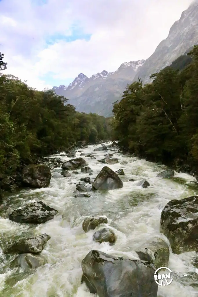 Discovering disappearing waterfalls, fur seals, black choral, alpine parrots, and mirror lakes, while hiking Milford Sound, New Zealand.