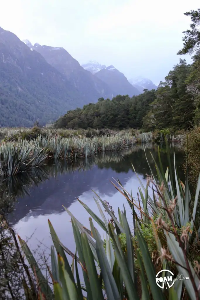 Discovering disappearing waterfalls, fur seals, black choral, alpine parrots, and mirror lakes, while hiking Milford Sound, New Zealand.