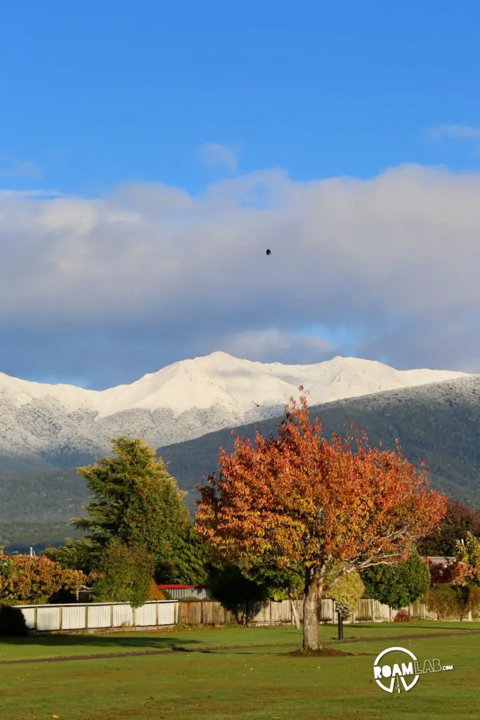 A quiet day after Milford Sound in Te Anau, New Zealand with a little side trip to the Te Anau Bird Sanctuary or Punanga Manu o Te Anau.