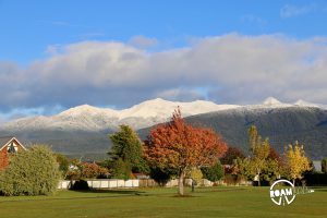 A quiet day after Milford Sound in Te Anau, New Zealand with a little side trip to the Te Anau Bird Sanctuary or Punanga Manu o Te Anau.