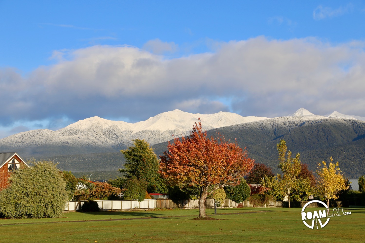 A quiet day after Milford Sound in Te Anau, New Zealand with a little side trip to the Te Anau Bird Sanctuary or Punanga Manu o Te Anau.