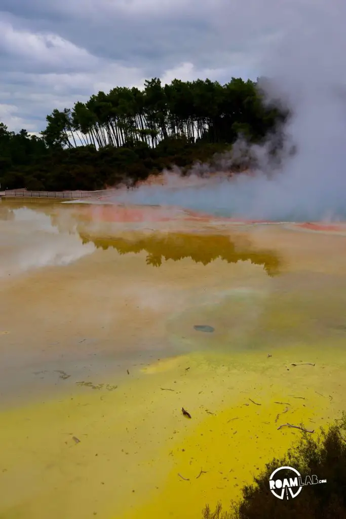 After a sleepless flight, we arrive in New Zealand to picnic along the ‎⁨Ngongotaha Lakefront Reserve, check into to Rotorua, and explore Waiotapu⁩.
