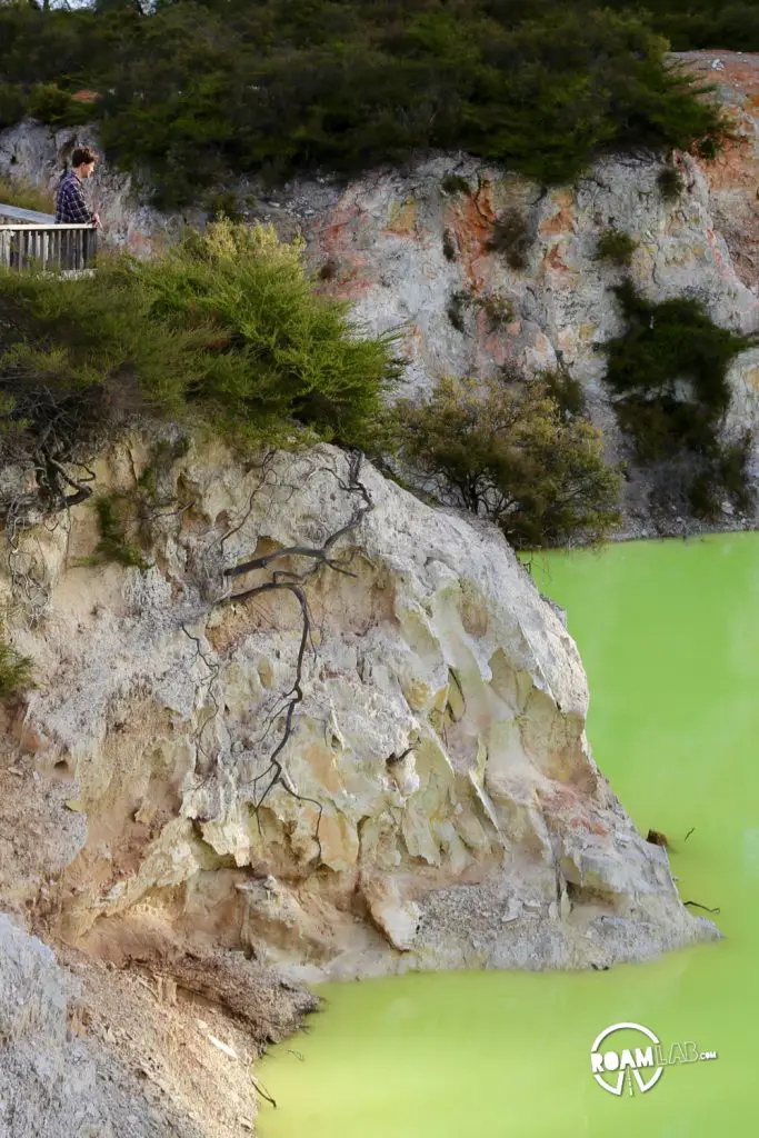 After a sleepless flight, we arrive in New Zealand to picnic along the ‎⁨Ngongotaha Lakefront Reserve, check into to Rotorua, and explore Waiotapu⁩.
