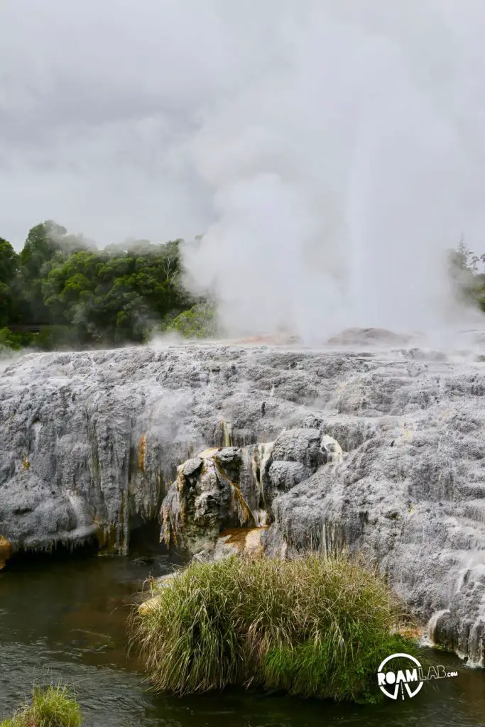 Te Puia geothermal geysers, lunch and a vista from Skyline Rotorua, and dinner at a Maouri village In Rotorua, New Zealand