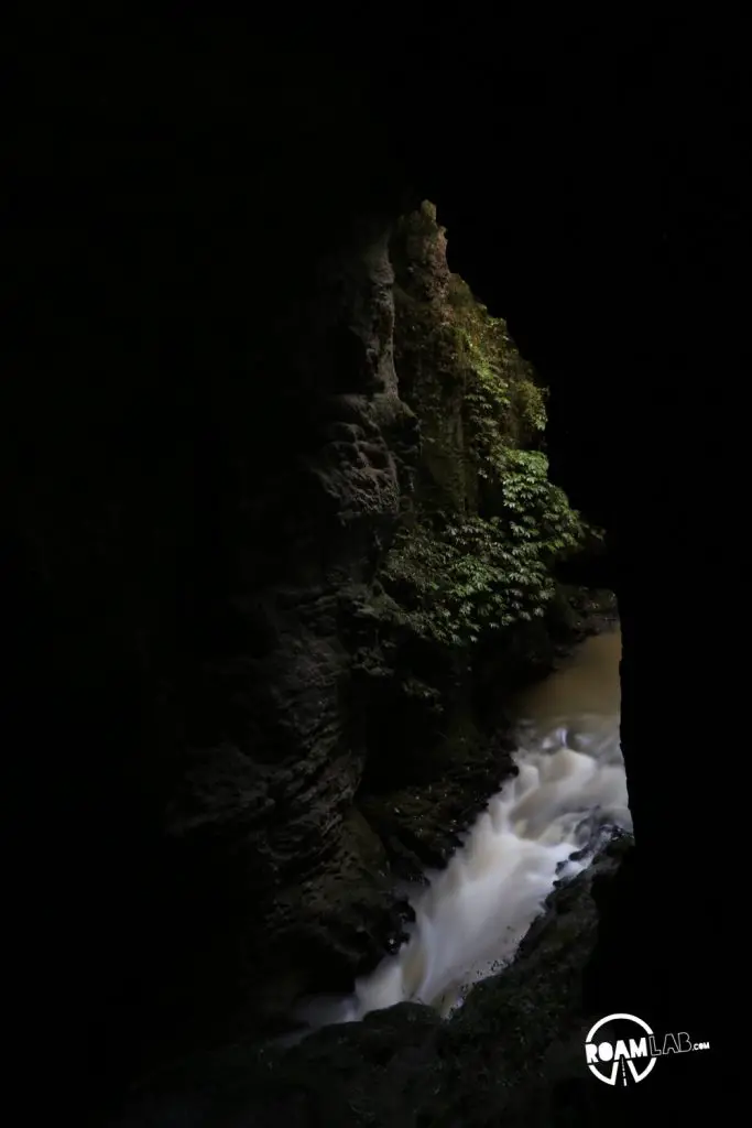 A massive gale makes little difference as we tube through New Zealand's famous Waitomo Glowworm Caves. When we are done, so is the storm in time for a hike.