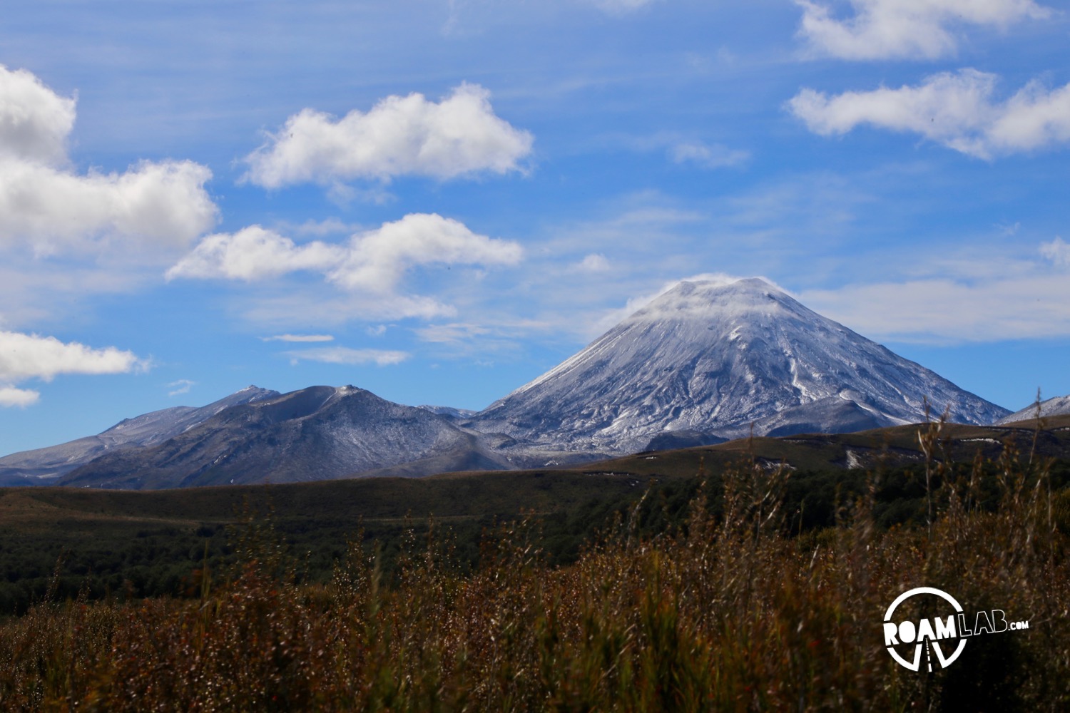 When inclement weather nixes our plans to hike the iconic Tongariro Alpine Crossing, we race the rain to hike the 4-mile Taranaki Falls Track.