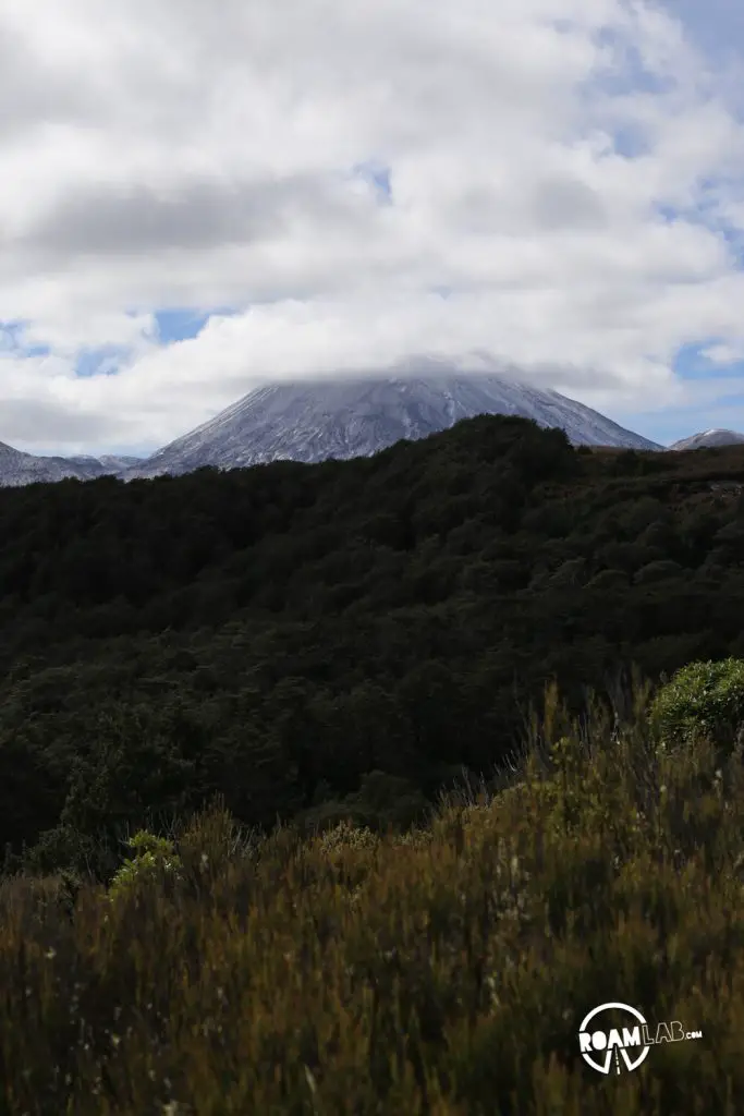 When inclement weather nixes our plans to hike the iconic Tongariro Alpine Crossing, we race the rain to hike the 4-mile Taranaki Falls Track.