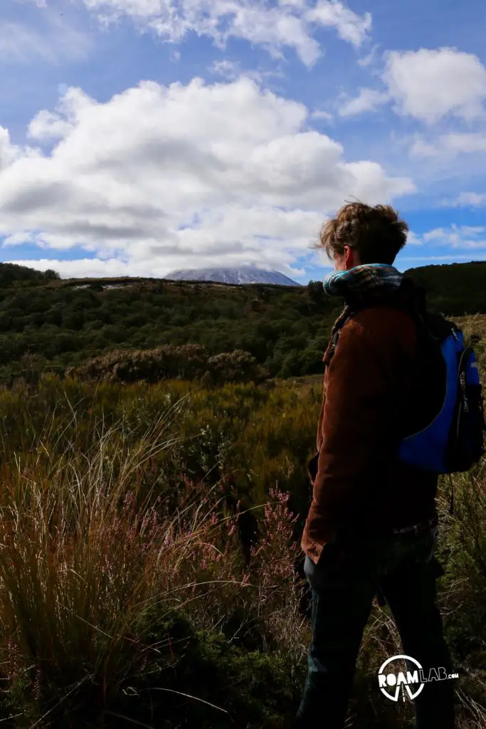 When inclement weather nixes our plans to hike the iconic Tongariro Alpine Crossing, we race the rain to hike the 4-mile Taranaki Falls Track.
