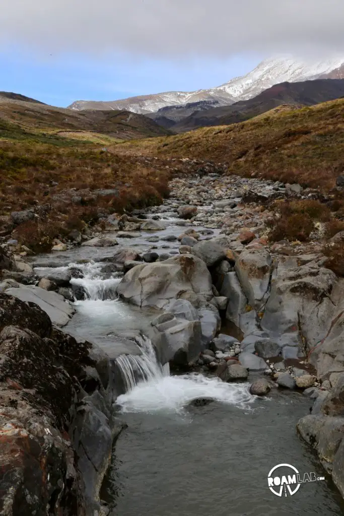 When inclement weather nixes our plans to hike the iconic Tongariro Alpine Crossing, we race the rain to hike the 4-mile Taranaki Falls Track.