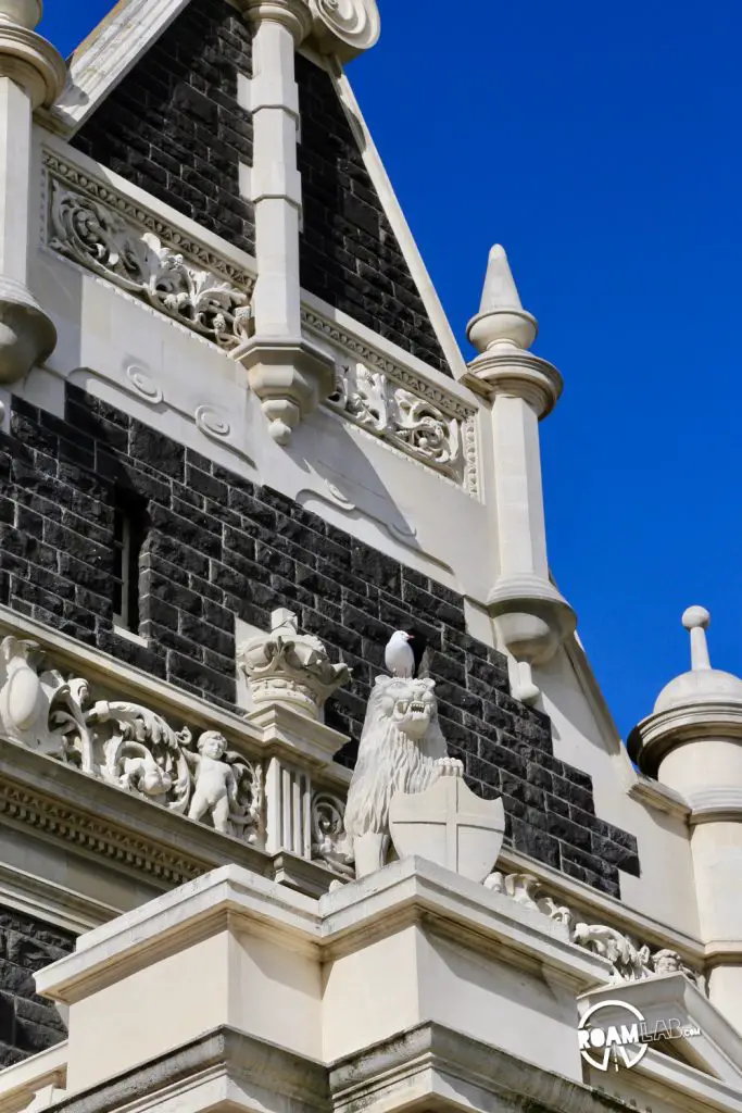 Wander a farmers market at the Dunedin railway station, explore Toitū Otago Settlers Museum, and spot blue penguins at the Royal Albatross Centre around Dunedin, New Zealand.