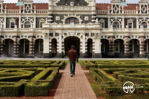 Wander a farmers market at the Dunedin railway station, explore Toitū Otago Settlers Museum, and spot blue penguins at the Royal Albatross Centre around Dunedin, New Zealand.