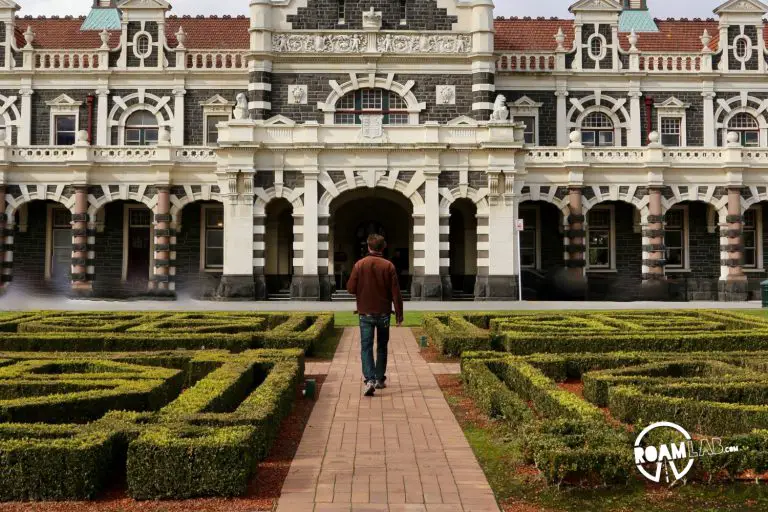 Wander a farmers market at the Dunedin railway station, explore Toitū Otago Settlers Museum, and spot blue penguins at the Royal Albatross Centre around Dunedin, New Zealand.