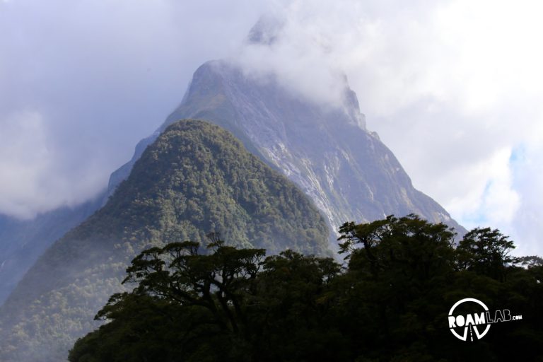 Discovering disappearing waterfalls, fur seals, black choral, alpine parrots, and mirror lakes, while hiking Milford Sound, New Zealand.