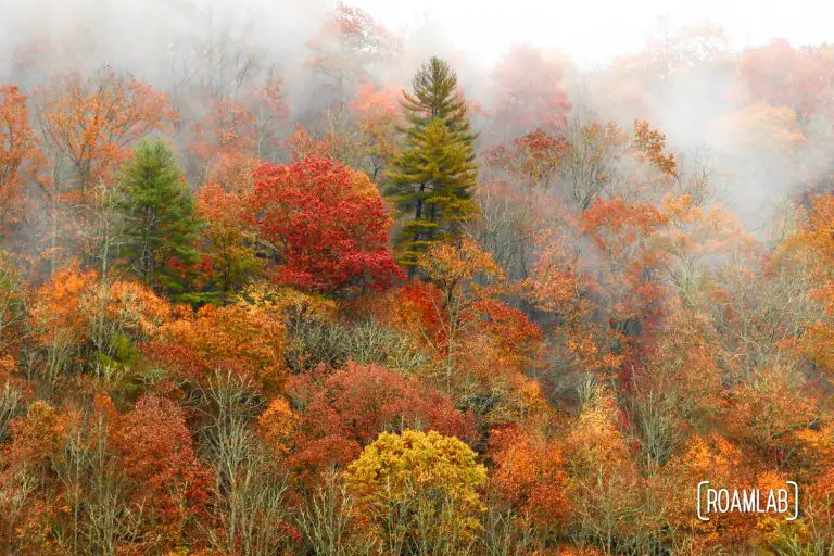 Fall colors at Overland Expo in North Carolina