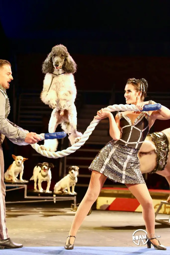 Baraboo, Wisconsin is the historic home of the Ringling Brothers. Today, it is home to Circus World, a museum and amusement park that pays homage to the legendary brothers, their traveling attraction, and an industry that has delighted the world.