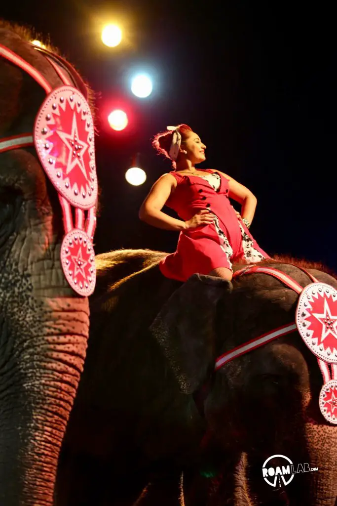 Baraboo, Wisconsin is the historic home of the Ringling Brothers. Today, it is home to Circus World, a museum and amusement park that pays homage to the legendary brothers, their traveling attraction, and an industry that has delighted the world.