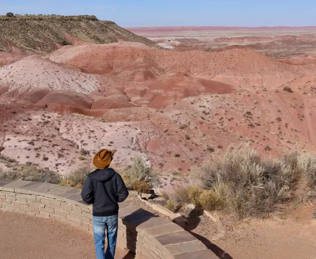Painted Desert in Petrified Forest State Park