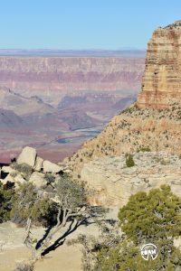 The South Rim of the Grand Canyon is one of the most popular sections of this iconic landmark and our drive along Highway 64 and it's many vistas makes it pretty clear why.