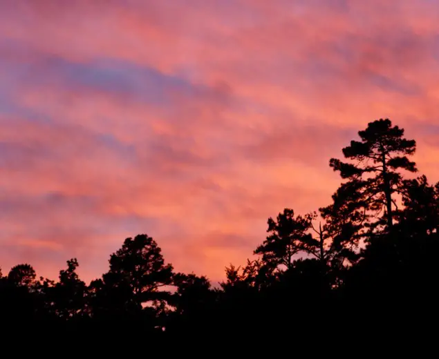 Sunset over ‎⁨Ouachita National Forest