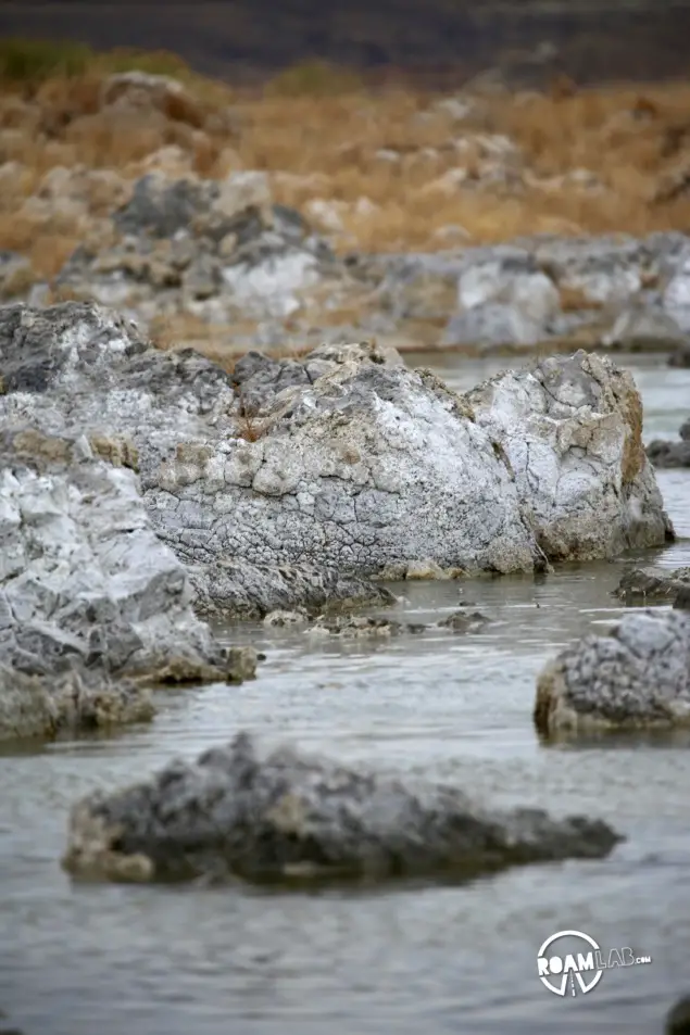 Buildups of calcium carbonate minerals form the limestone towers characteristic of Lake Mono and a product of the alkaline water.