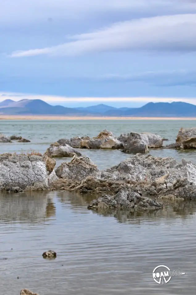 Buildups of calcium carbonate minerals form the limestone towers characteristic of Lake Mono and a product of the alkaline water.