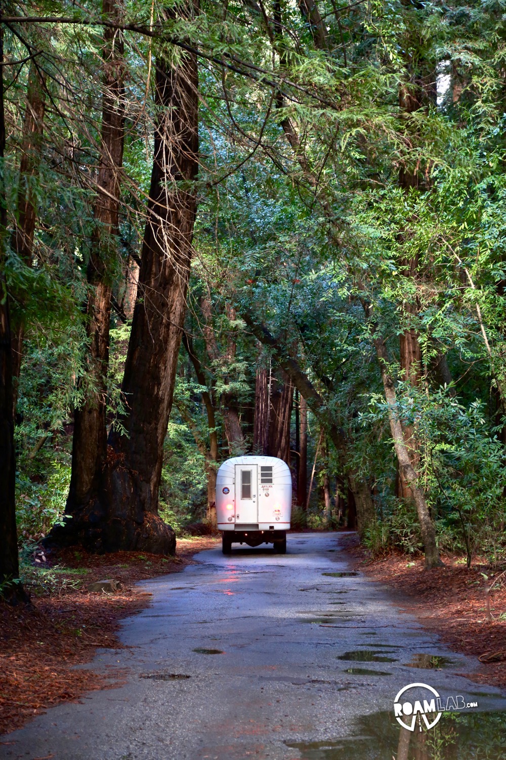 1970 Avion C11 truck camper driving down a redwood lined road. Finding a site in the Pfeiffer Big Sur Campground
