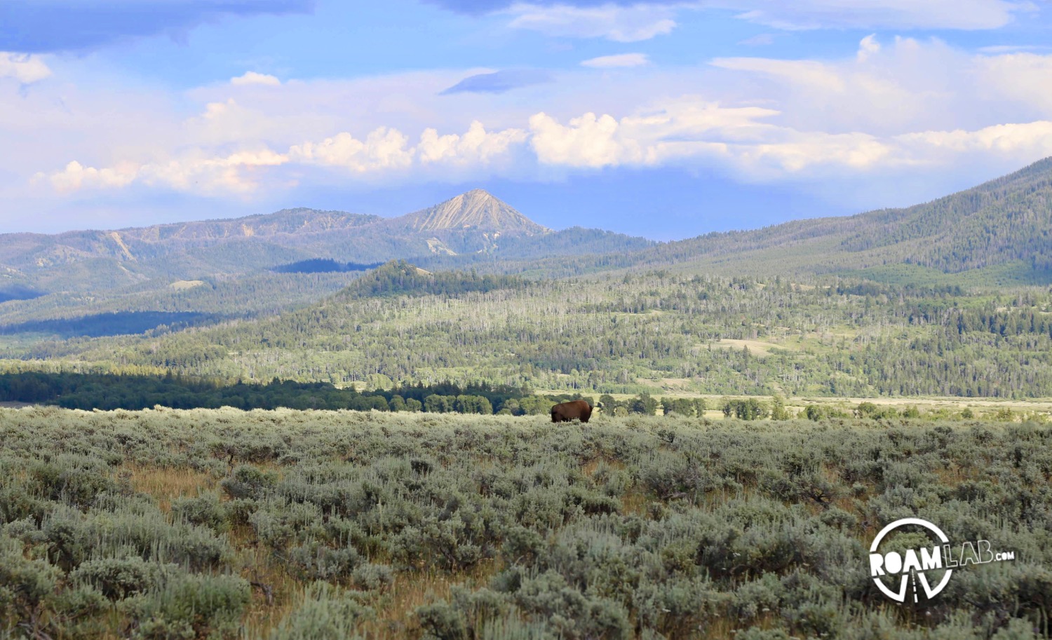 While much of the Grand Teton National Park is paved, there is a rare off-roading opportunity on the River Road. Join buffalo and elk along the Snake River.