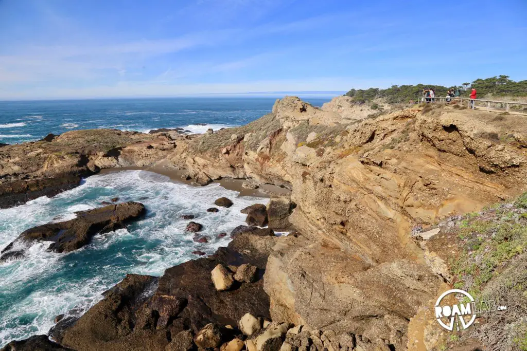 See whales, sea otters, sea lions, harbor seals, pelicans, herons, egrets, and all Point Lobos State Natural Reserve offers in an ultimate 5-mile hike.