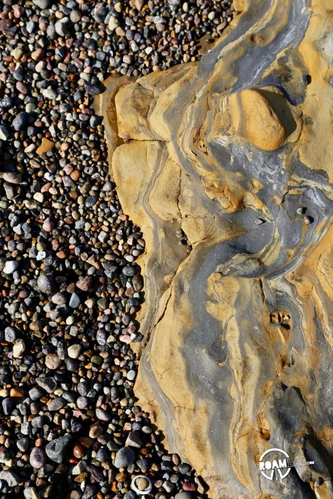 See whales, sea otters, sea lions, harbor seals, pelicans, herons, egrets, and all Point Lobos State Natural Reserve offers in an ultimate 5-mile hike.