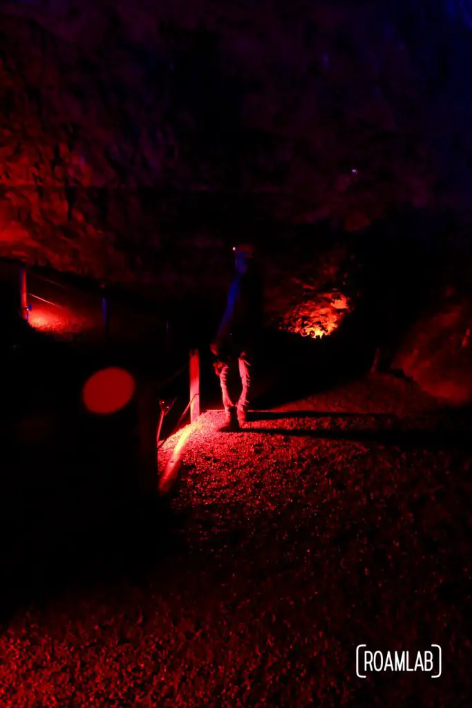 Looking out over the cavern while waiting for the next zip line.