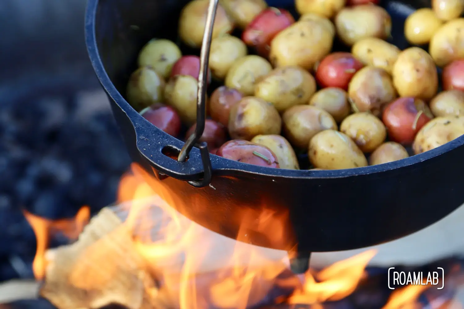 Cooking colorful potatoes in a cast iron dutch oven over a campfire