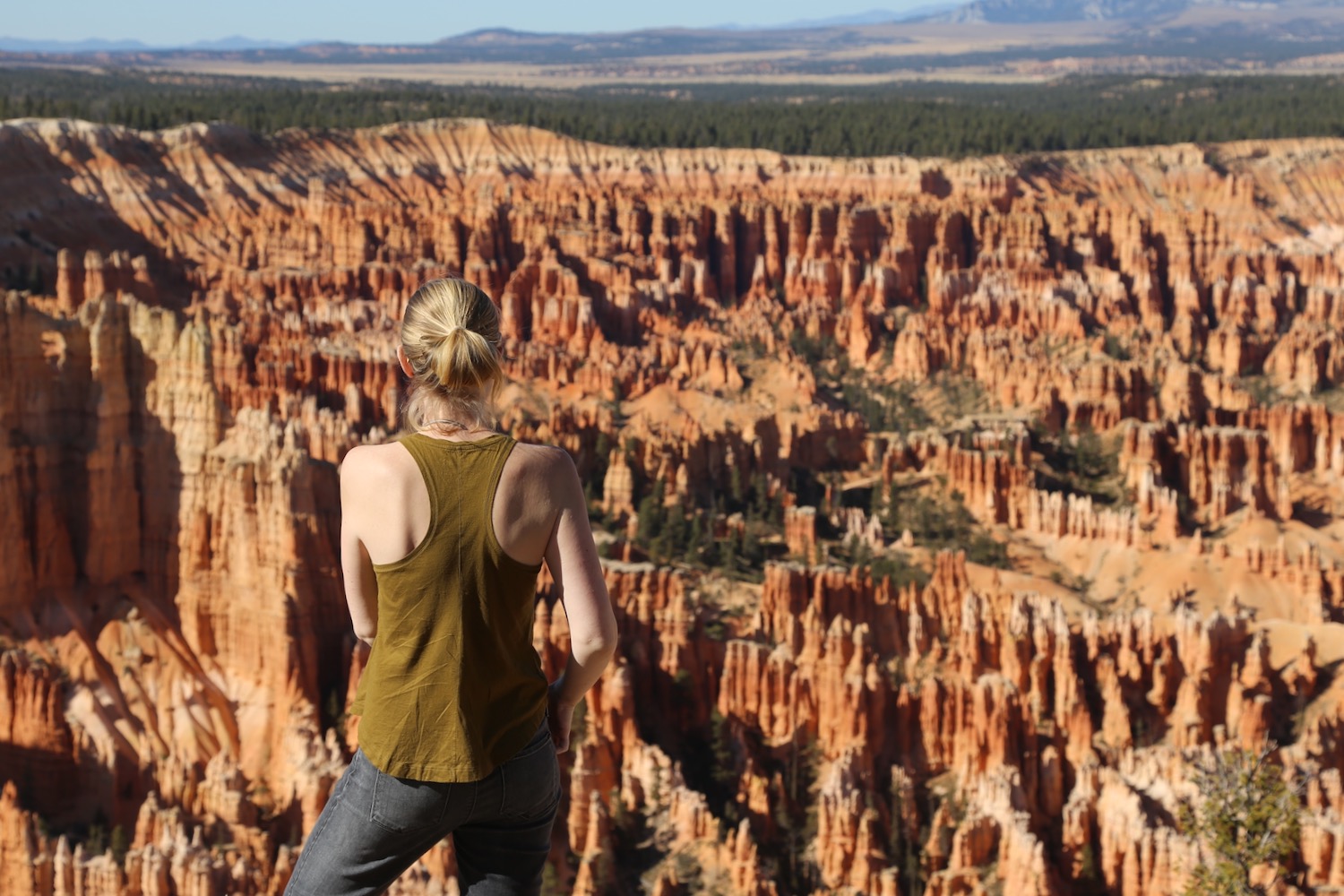 Hit all the major vista points in Bryce Canyon National Park with Highway 63, skirting the rim of the hoodoo filled amphitheater.