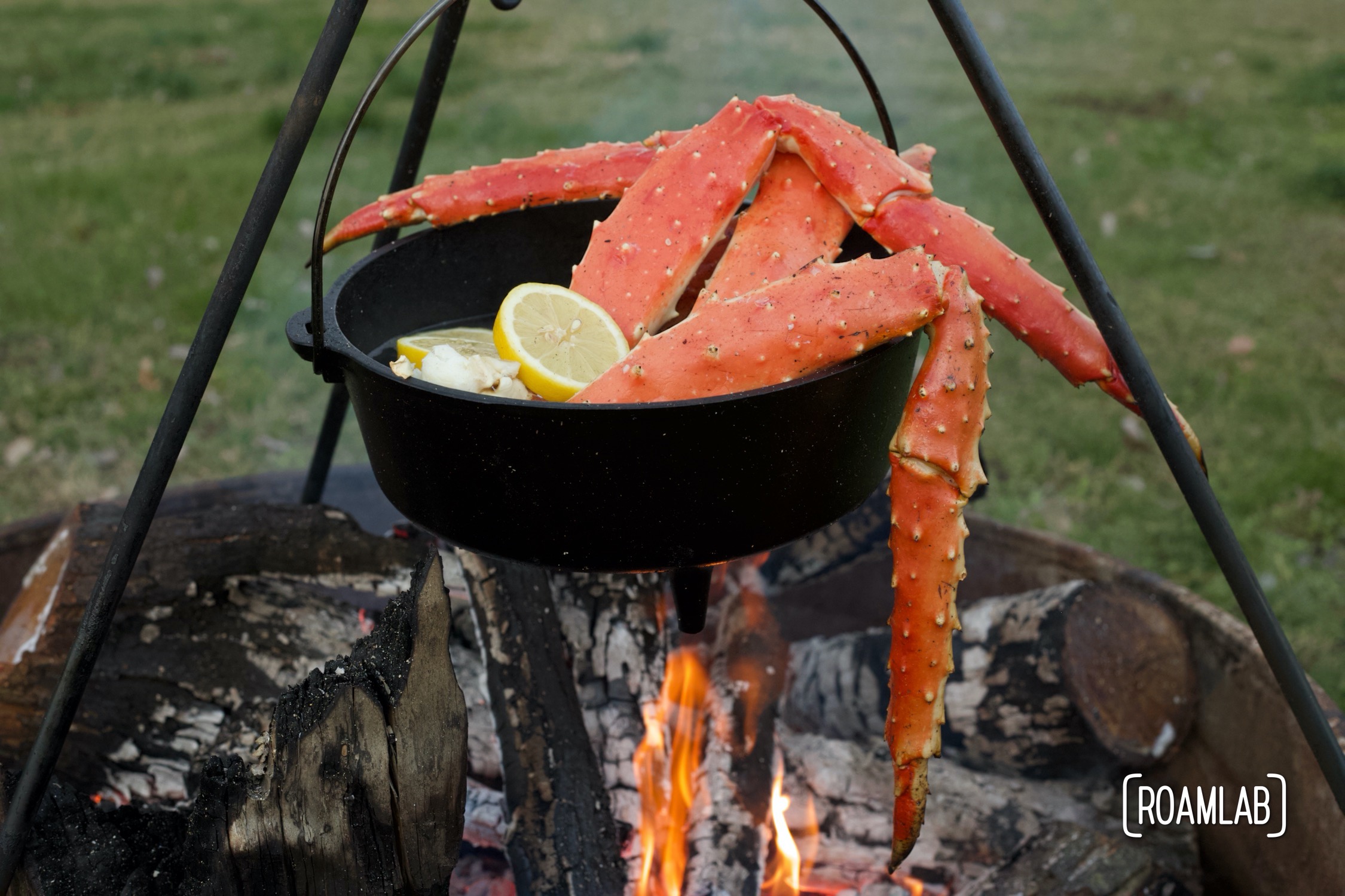 King Crab boiling in a cast iron dutch oven over a campfire