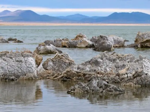 Buildups of calcium carbonate minerals form the limestone towers characteristic of Lake Mono and a product of the alkaline water.