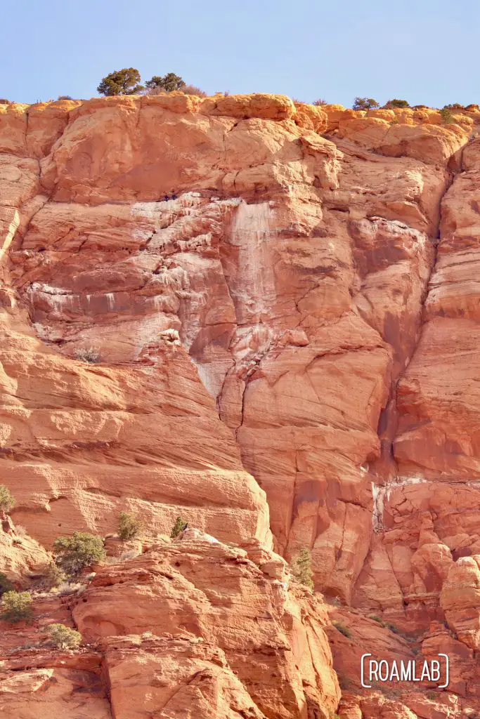 Condors collecting on the edge of the Vermillion Cliffs National Monument.